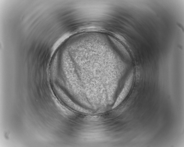 X0000101651474200807311402