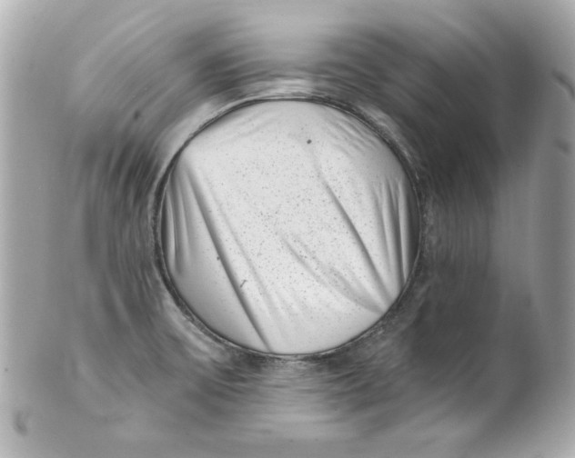X0000101651475200807311402