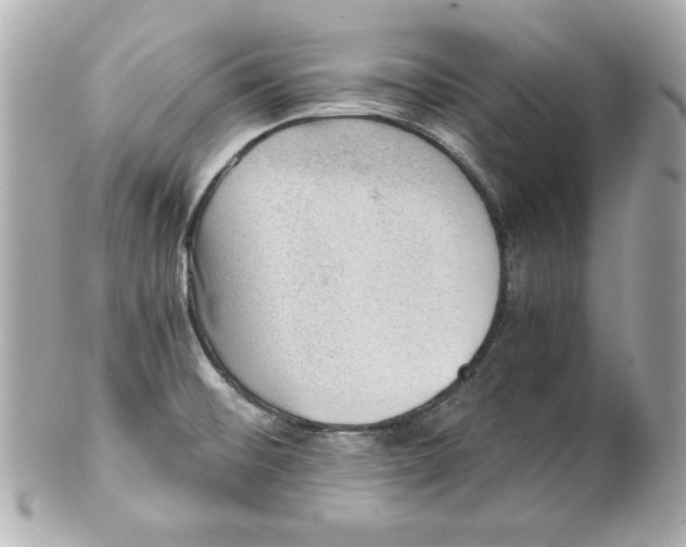 X0000101651476200807311402