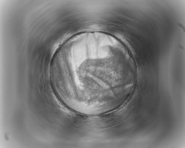 X0000101651477200807311402