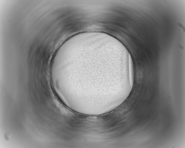 X0000101651478200807311402