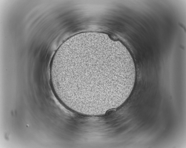 X0000101651479200807311402