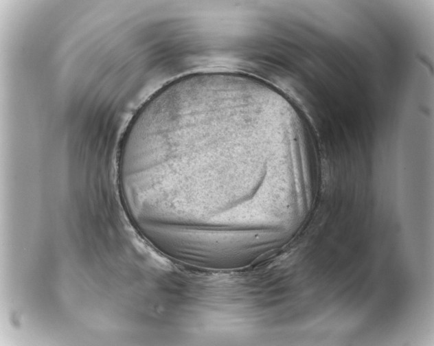 X0000101651480200807311402