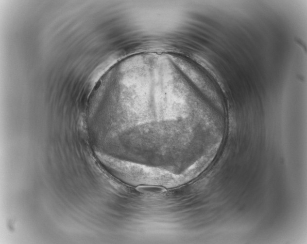 X0000101651481200807311402
