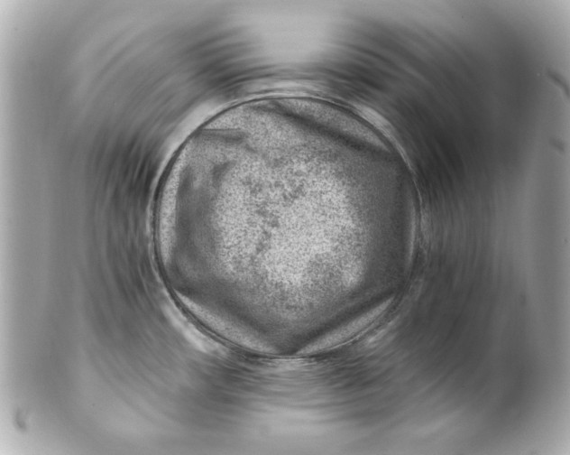 X0000101651482200807311402