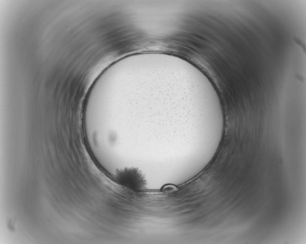 X0000101651483200807311402