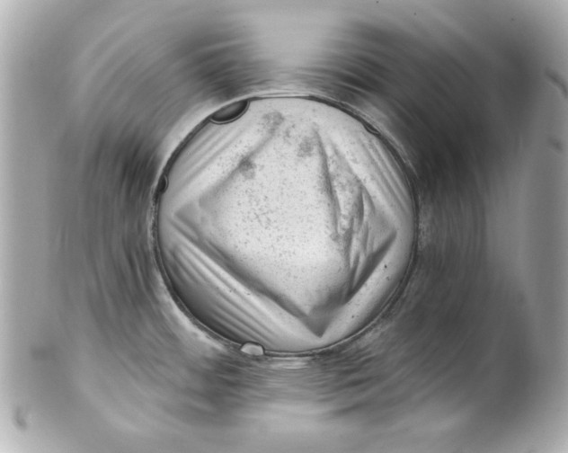 X0000101651484200807311402
