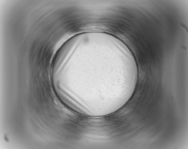 X0000101651486200807311402
