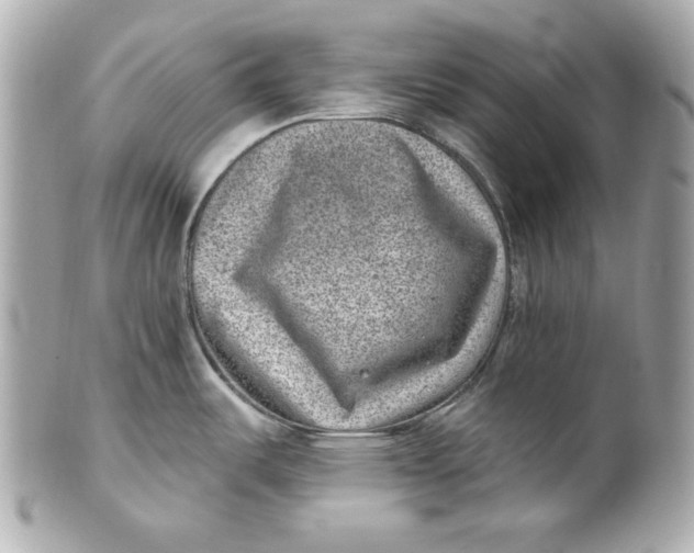 X0000101651487200807311402