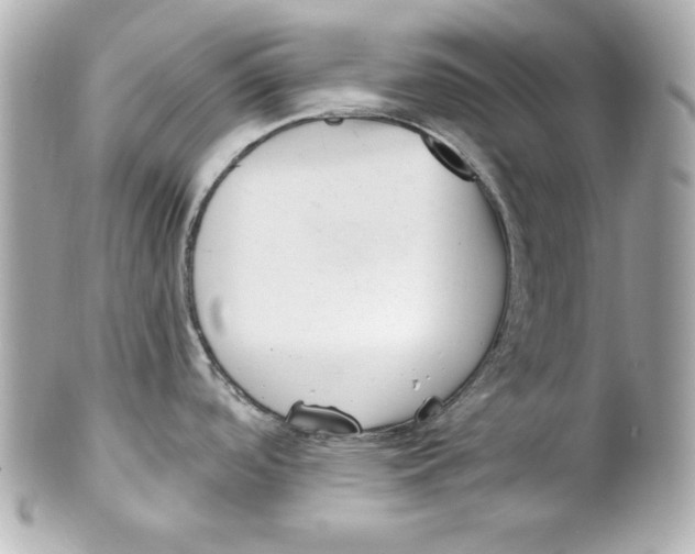 X0000101651488200807311402