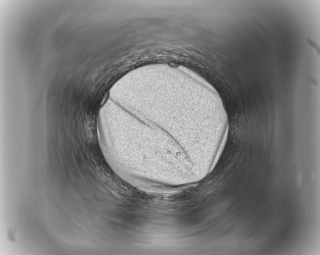 X0000101651490200807311401