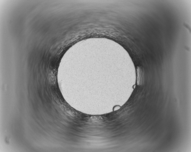 X0000101651491200807311401