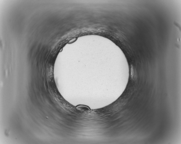 X0000101651492200807311401