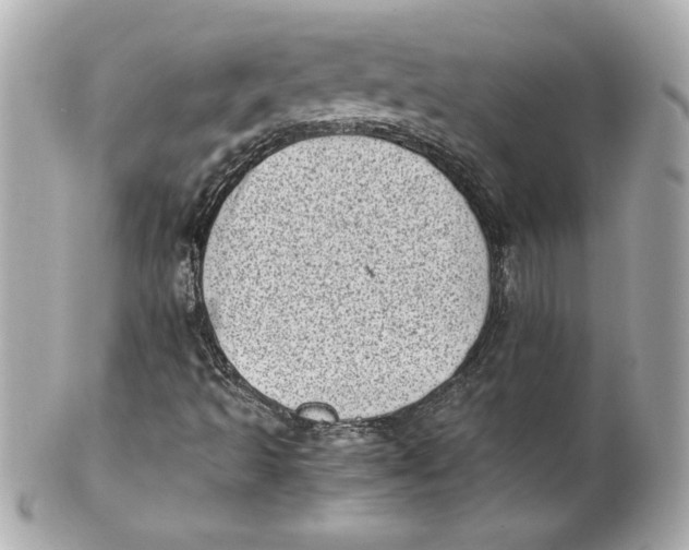 X0000101651493200807311401
