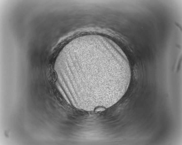 X0000101651494200807311401