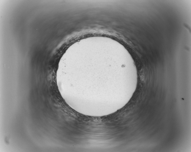 X0000101651495200807311401