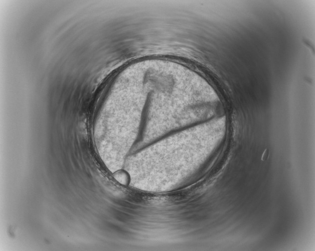 X0000101651497200807311401