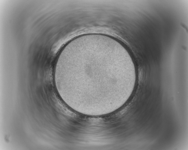 X0000101651498200807311401