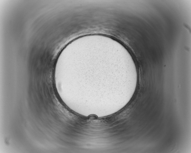 X0000101651500200807311401