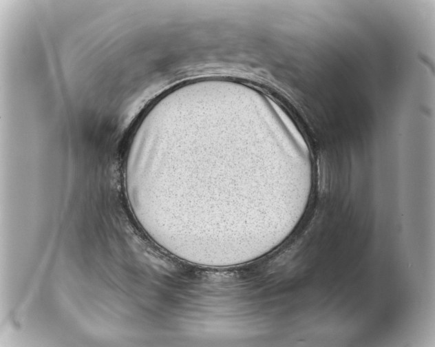 X0000101651501200807311401