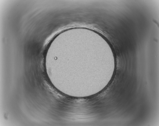 X0000101651502200807311401