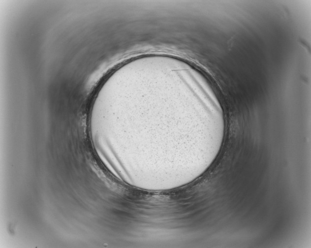 X0000101651503200807311401