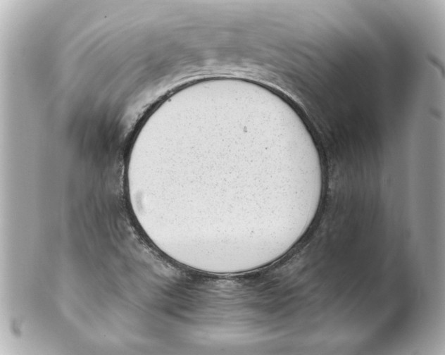 X0000101651507200807311401