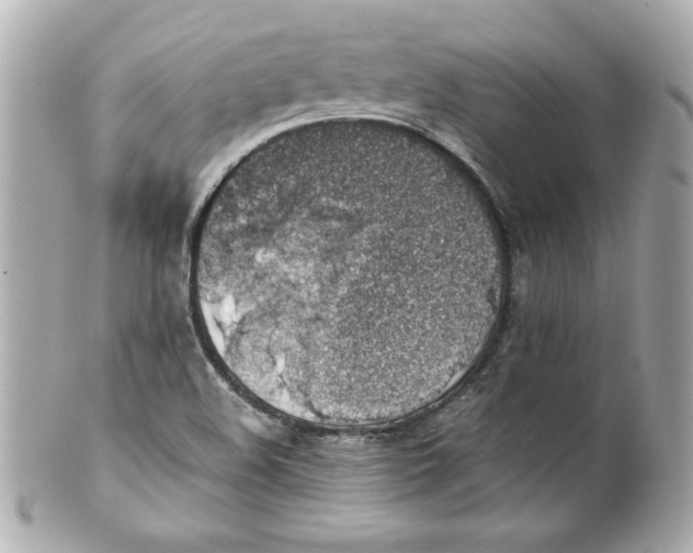 X0000101651508200807311401