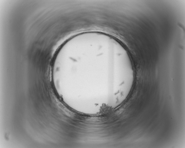 X0000101651510200807311401