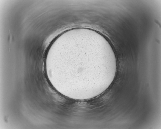 X0000101651511200807311401