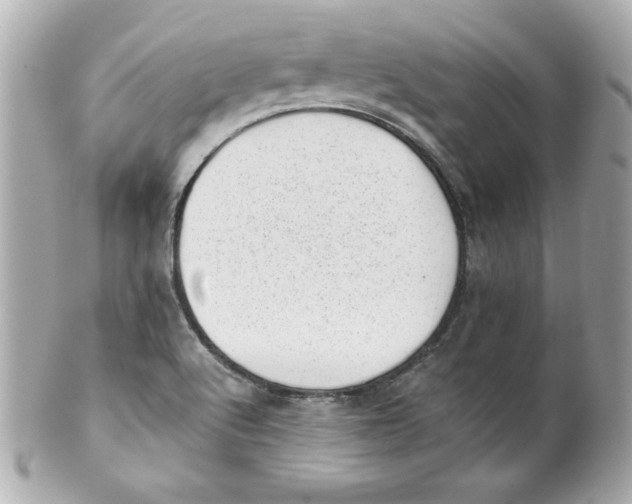 X0000101651512200807311401
