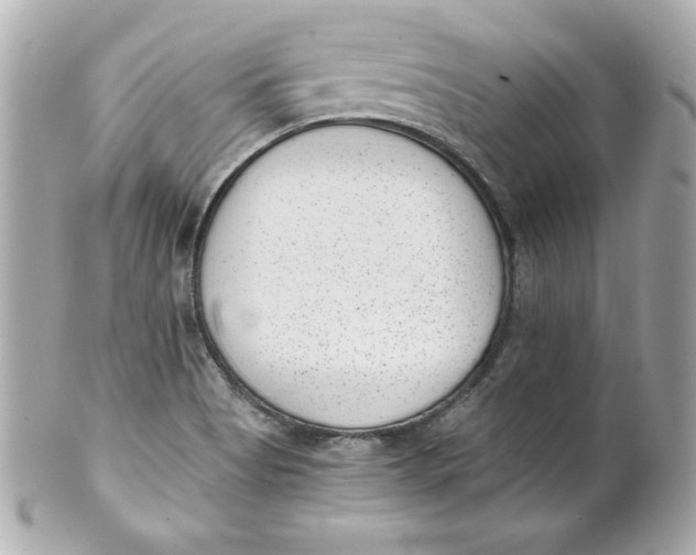 X0000101651513200807311401