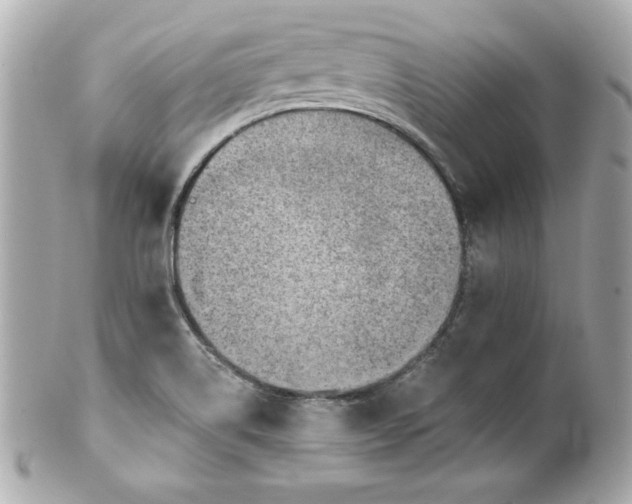 X0000101651514200807311401