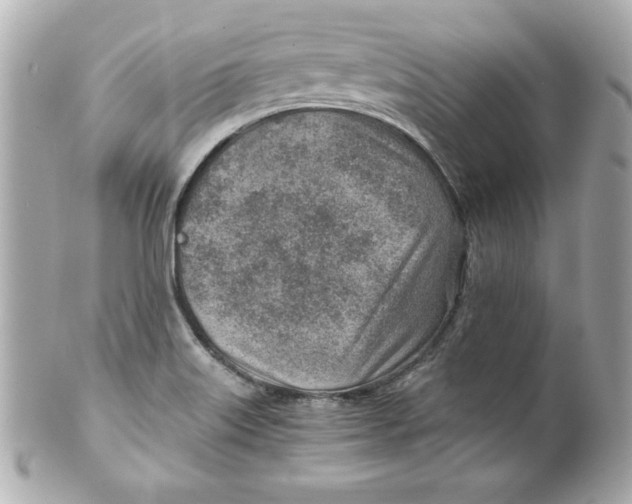 X0000101651515200807311401