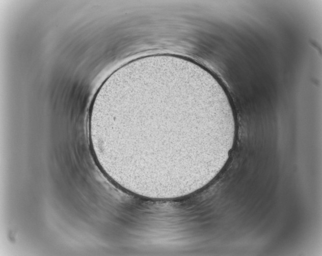 X0000101651516200807311401