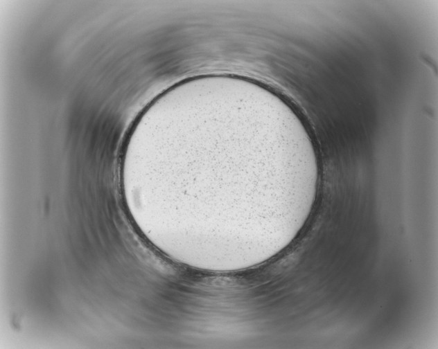 X0000101651517200807311401