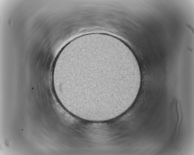 X0000101651518200807311401