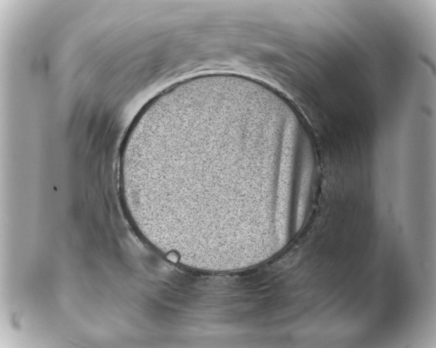 X0000101651519200807311401