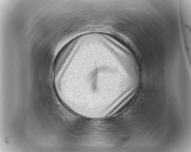 X0000101651520200807311402