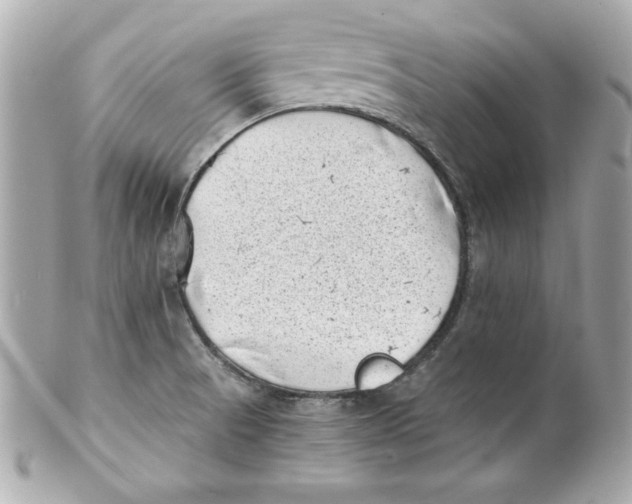 X0000101651521200807311402
