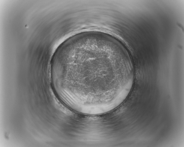 X0000101651522200807311402