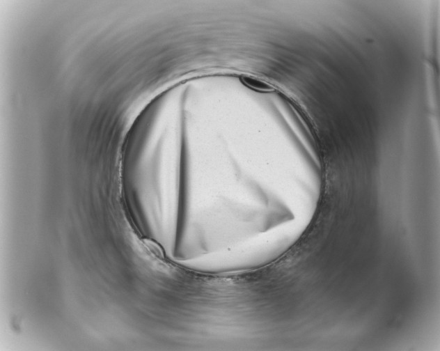 X0000101651524200807311402