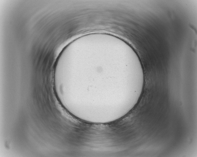 X0000101651526200807311402