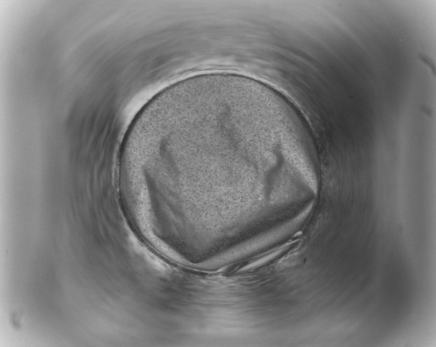 X0000101651527200807311402