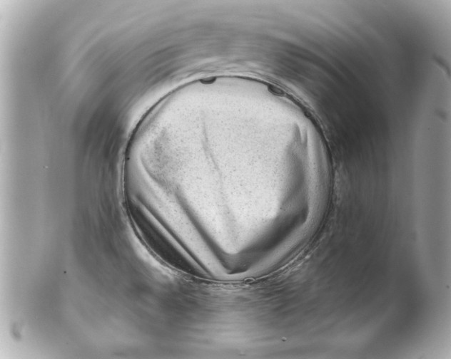 X0000101651528200807311402