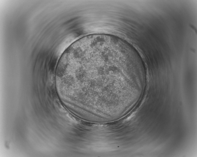 X0000101651529200807311402