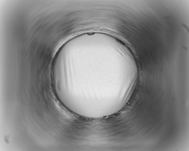 X0000101651530200807311402