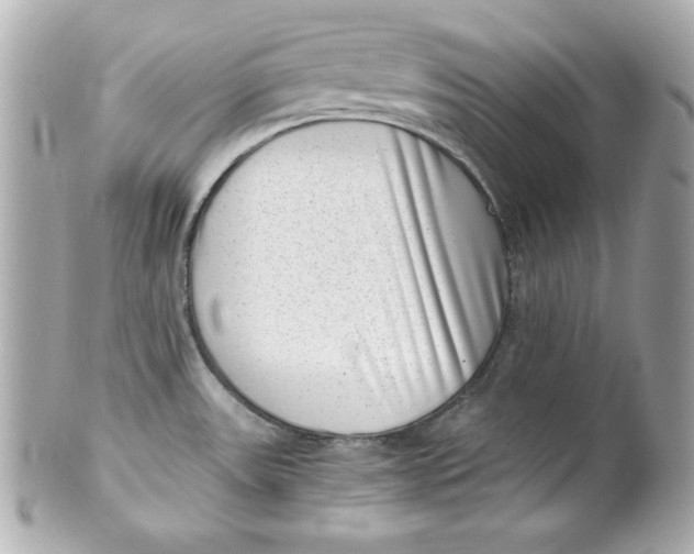 X0000101651531200807311402