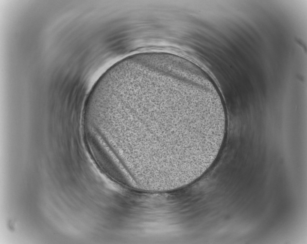 X0000101651533200807311402