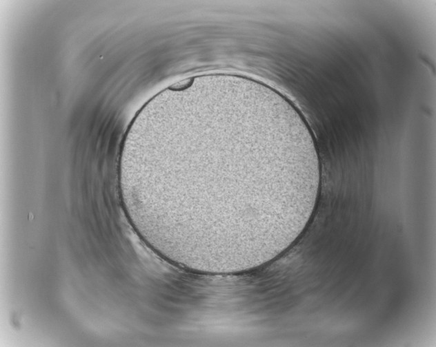 X0000101651534200807311402